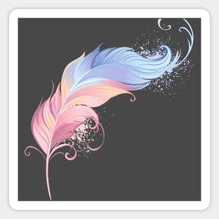 Pastel pink and blue Feather Magnet